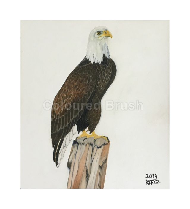 2017- "Sea Eagle". Of all the bird, the one I love most is the Eagle. It represents courage and endurance. I believe that if we put our live on the instinctive principles of eagles, we would be much stronger, more determined, courageous, confident and creative. We would abundantly experience peace, balance and genuine freedom to be in the world. Handpainted watercolor painting on paper. Dimensions: 0,30 x 0,40m. (Not available)