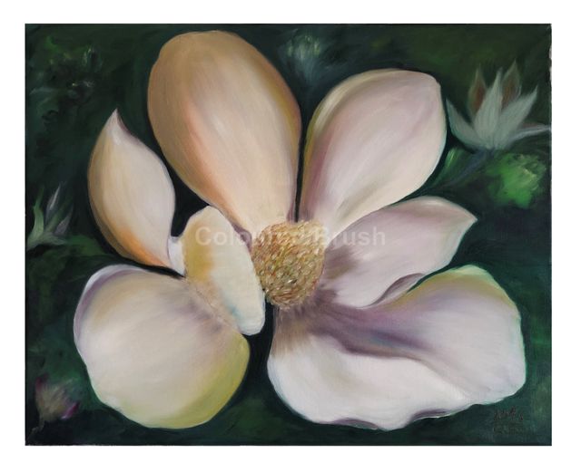 2018, "White Magnolia" - Oil (Wet on Wet) on canvas. Dimensions 0.40 x 0.60m. 