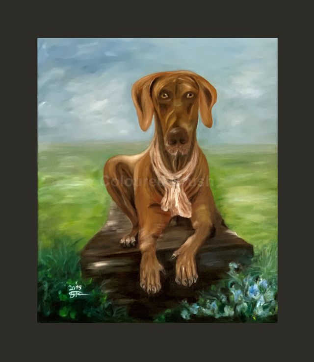 2019 - Dobber. He was part of our family. I remember with a lot of tenderness the friendship that we created, the bond that we built and that will never disappear. I will always remember his vivacity, his cheerful manner and the good energy that showed his loving look. To honor him with this portrait was a great privilege. Technique: Oil, Hand painted. Dimensions: 0,60x0,40M. Not for sale.