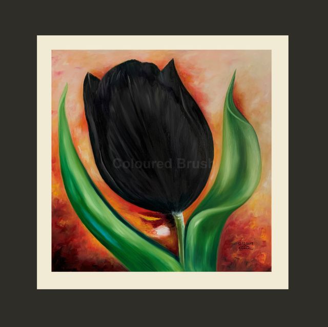 2019 - "Tulip Negra", Oil paint. Dimensions 0.50×0.50M. Screen 3D Not available.