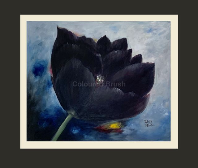 2019 - "UNIQUE BLACK", The Black Tulip, is beautiful, elegant and rare to find in nature. According to legend, a girl named Ferhad fell in love with a boy named Shirin. Seeing her love rejected, Ferhad fled into the desert. Crying with sadness, each of her tears, touching the sand, turned into a beautiful black tulip. I found this legend so sad and beautiful at the same time that I found it interesting to paint a Black Tulip. After all, it is beautiful to know that even in sadness, when talking about love, flowers become a symbol of true love. Technique oil. Dimensions 0.50×0.40M. Screen 3D ready to hang.
